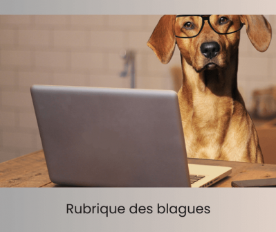 Rubrique des blagues